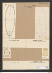 Surirella sp. (de-Toni-Nr.: Genus 53, Species 2236 ?) Zeichnungen Sammlung Grunow Nr. 4819 (NHMW-BOT-W0372975)